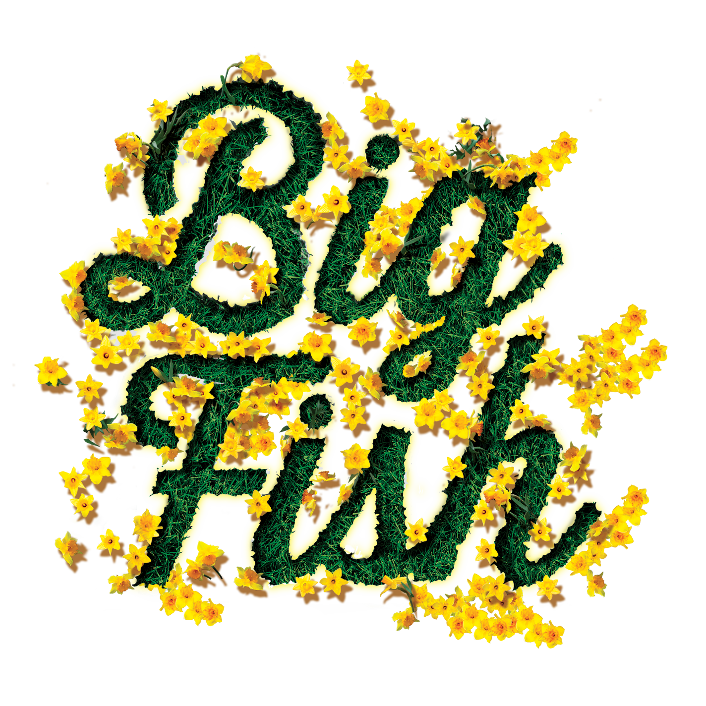Big Fish Title Treatment 2
